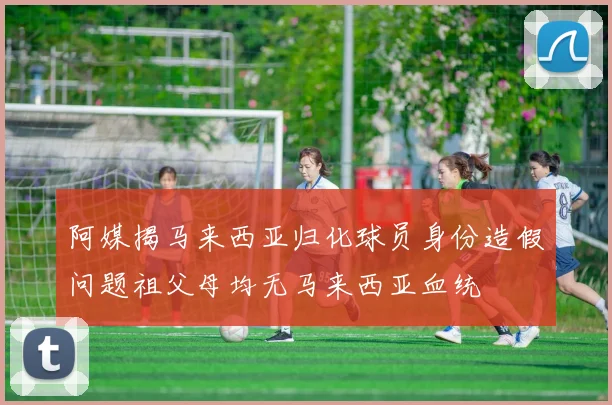阿媒揭马来西亚归化球员身份造假问题祖父母均无马来西亚血统