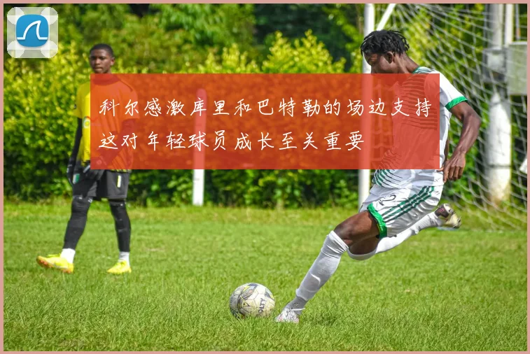 科尔感激库里和巴特勒的场边支持这对年轻球员成长至关重要