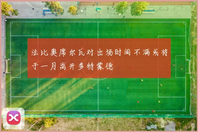 法比奥席尔瓦对出场时间不满或将于一月离开多特蒙德