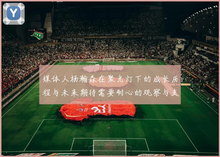 媒体人杨瀚森在聚光灯下的成长历程与未来期待需要耐心的观察与支持